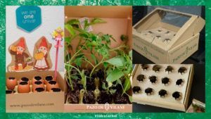 La caja de huevos Pazo de Vilane, tu mejor aliada para la jardinería