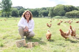 Emprender con 50 gallinas: así se triunfa por huevos