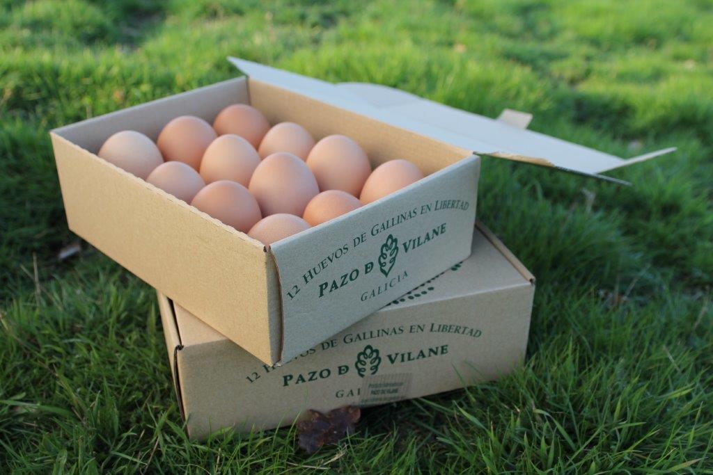 La caja de huevo campero Pazo de Vilane se convierte en un herbario