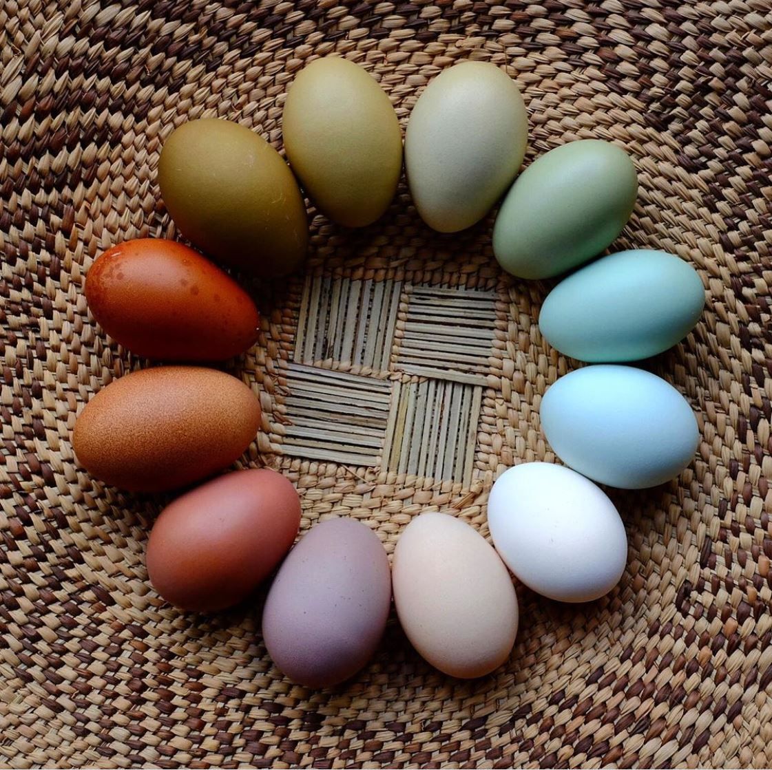 Huevos de colores de gallinas camperas sobre cesta de ratán