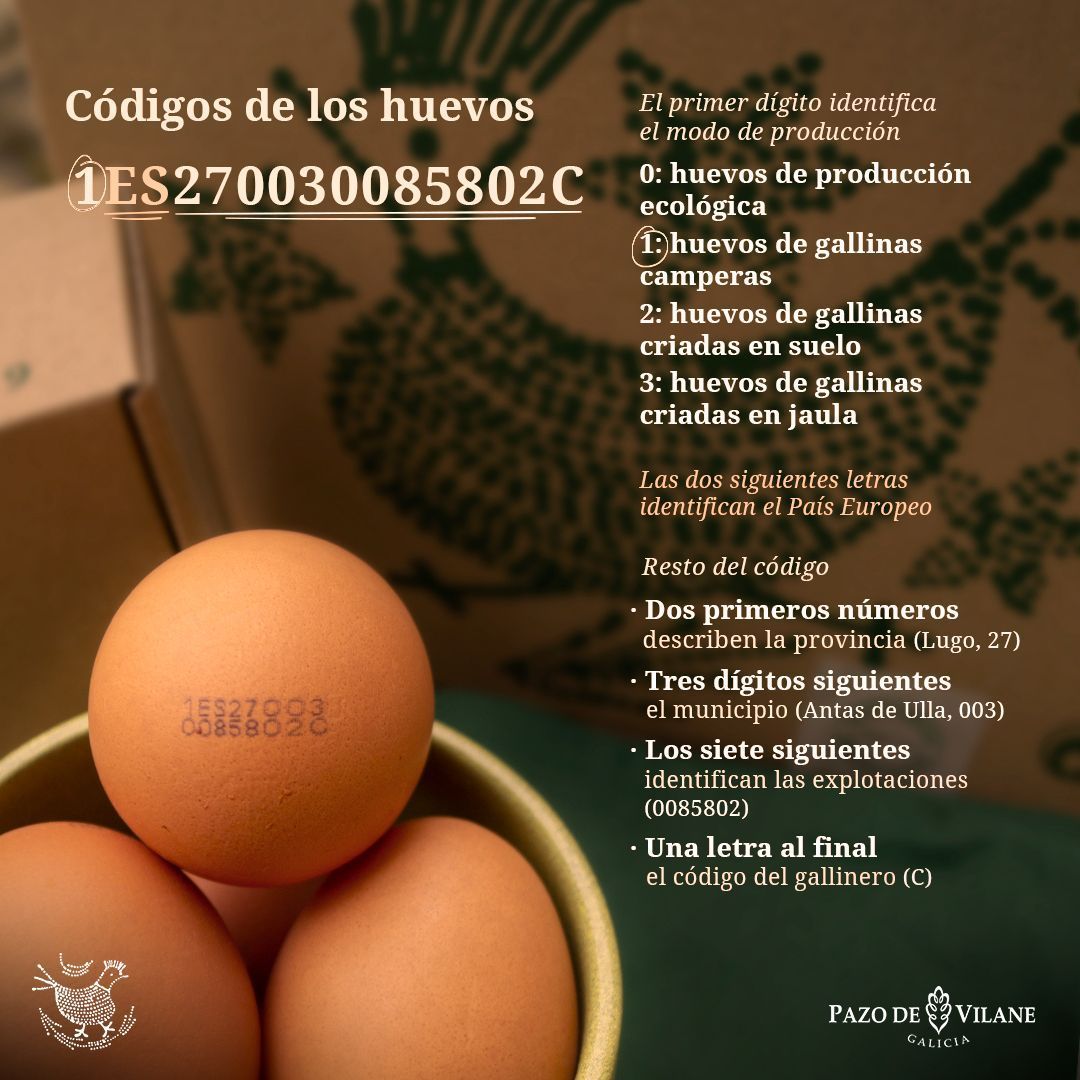 infografía códigos de los huevos. Cómo interpretar los códigos