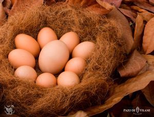 Los mejores récords mundiales con huevos