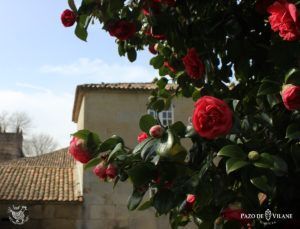 A primavera en Pazo de Vilane