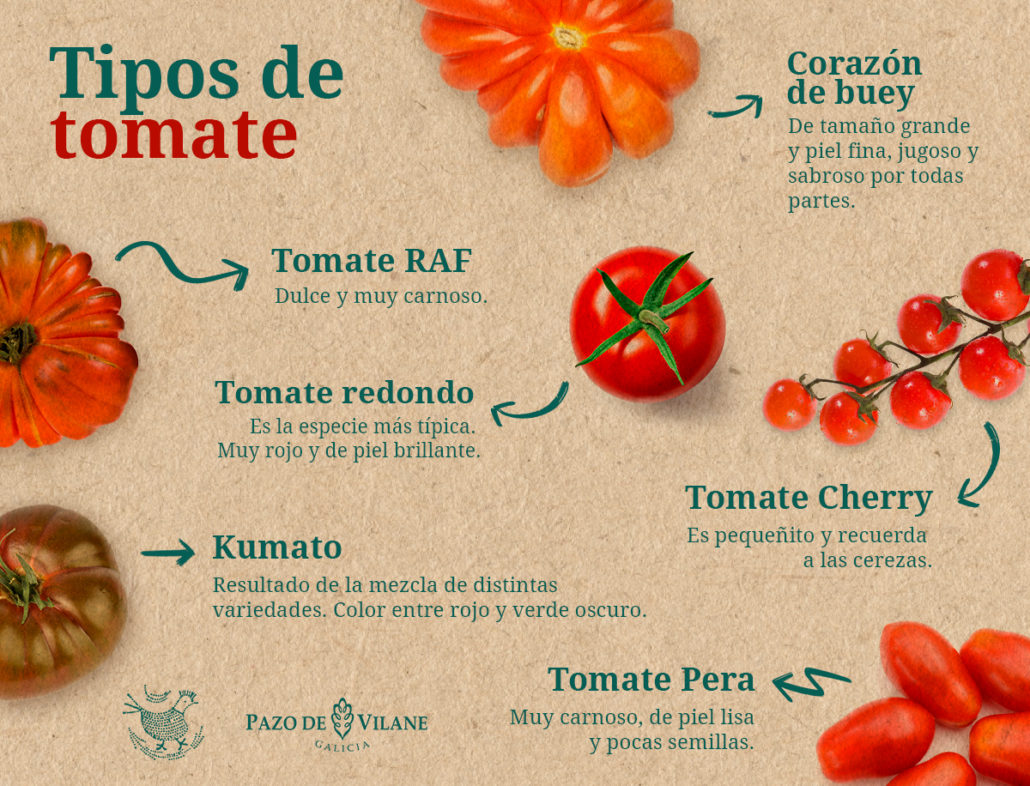 Infografía Tipos de tomate