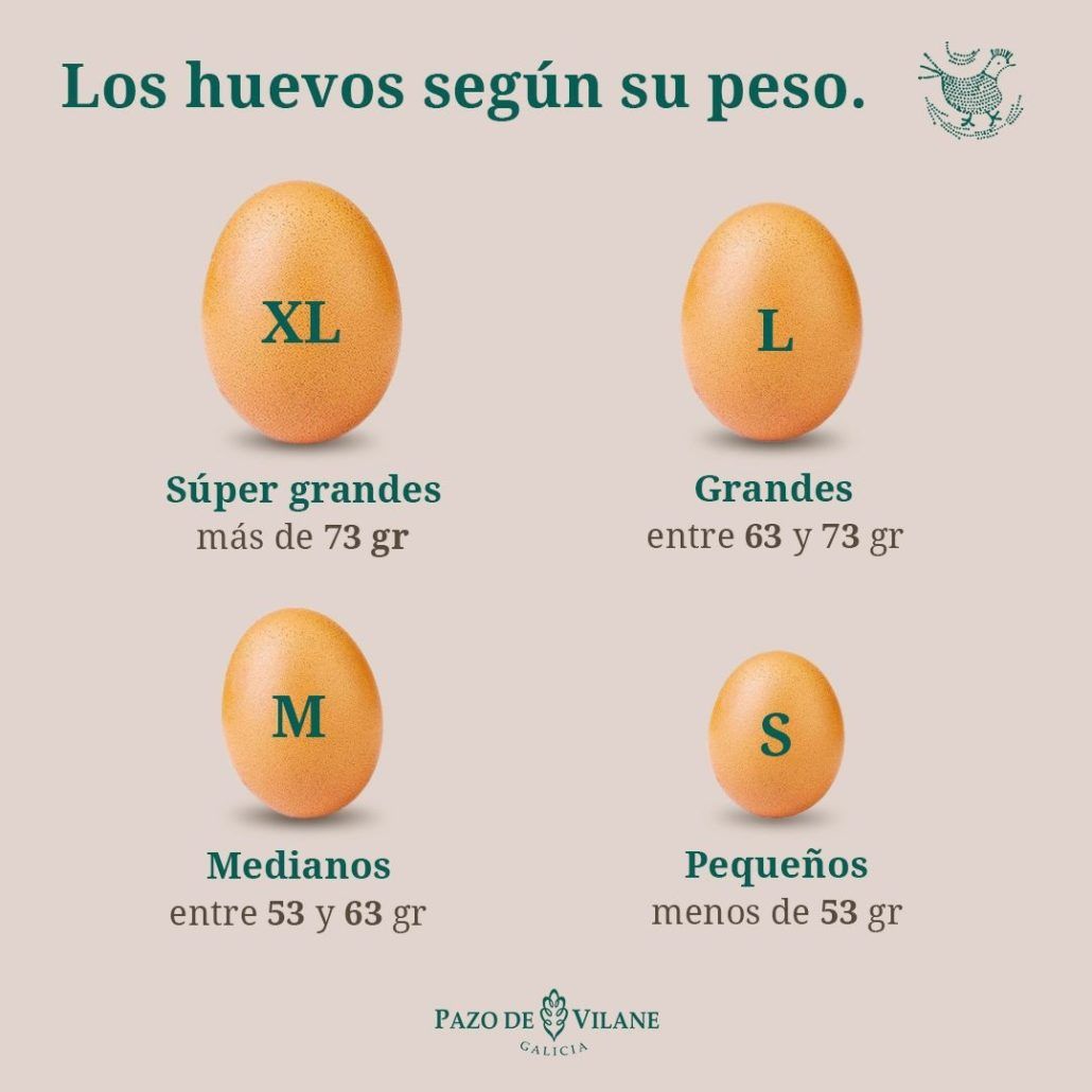 Clasificación de los huevos según su peso: súper grandes (XL), grandes (L), medianos (M) y pequeños (S).
