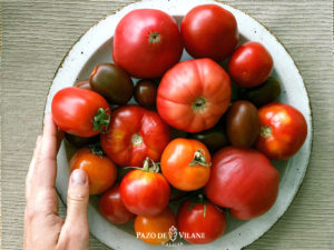 Tipos de tomates: las variedades más consumidas en España