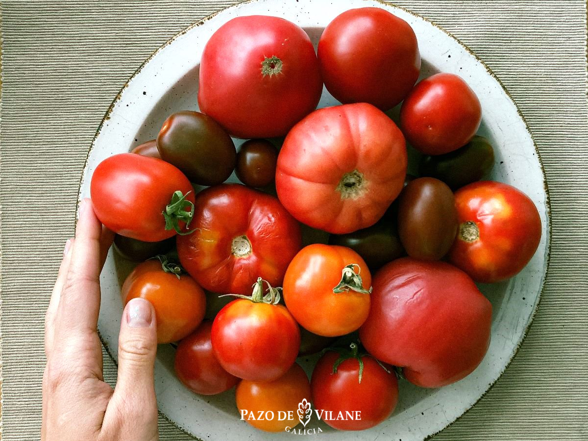 Tipos de tomate distintos en un plato