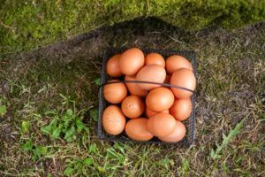 Guía del valor nutricional del huevo campero: listado completo de sus nutrientes y propiedades