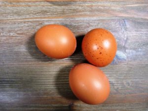 Partes do ovo: cáles son e para qué sirven