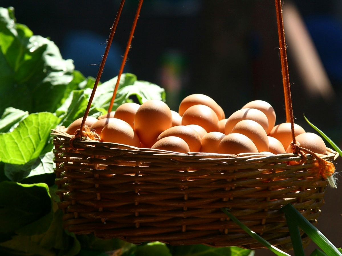 Huevos duros en una cesta