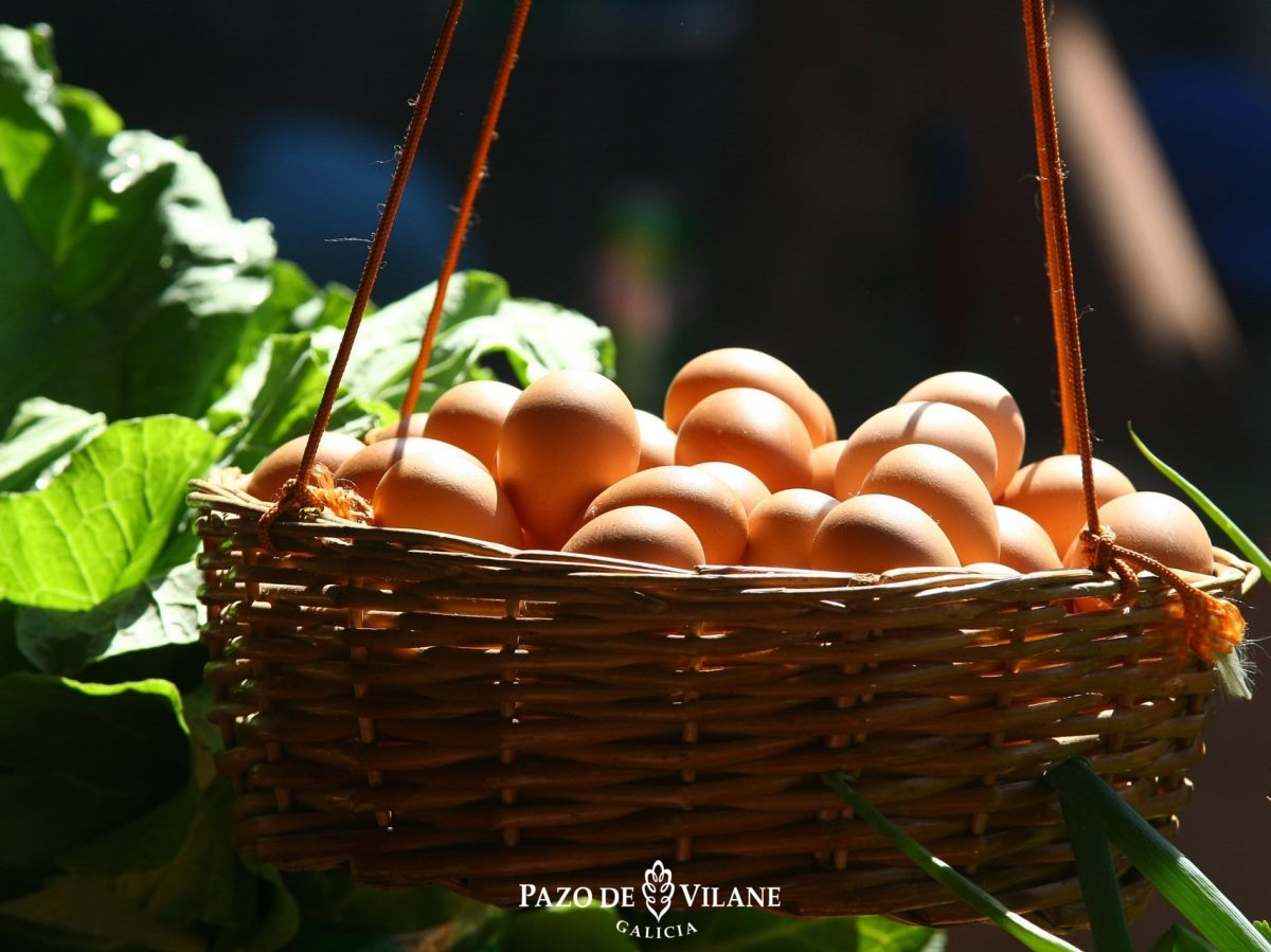 Huevos en cesta de mimbre