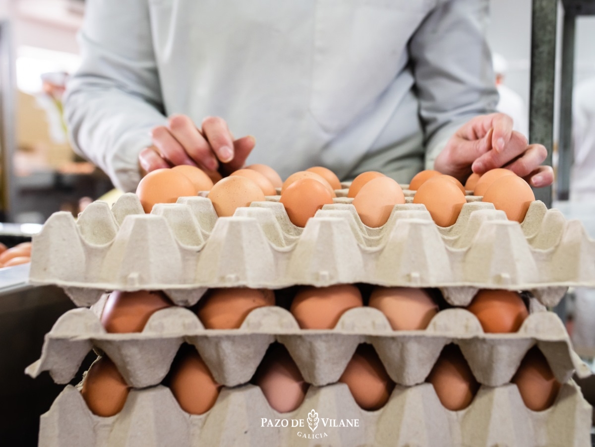 Trabajador de granja avícola colocando huevos