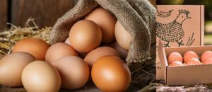Gaña ovos campeiros Pazo de Vilane para un ano