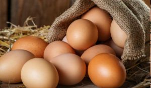 Gana huevos camperos Pazo de Vilane para un año